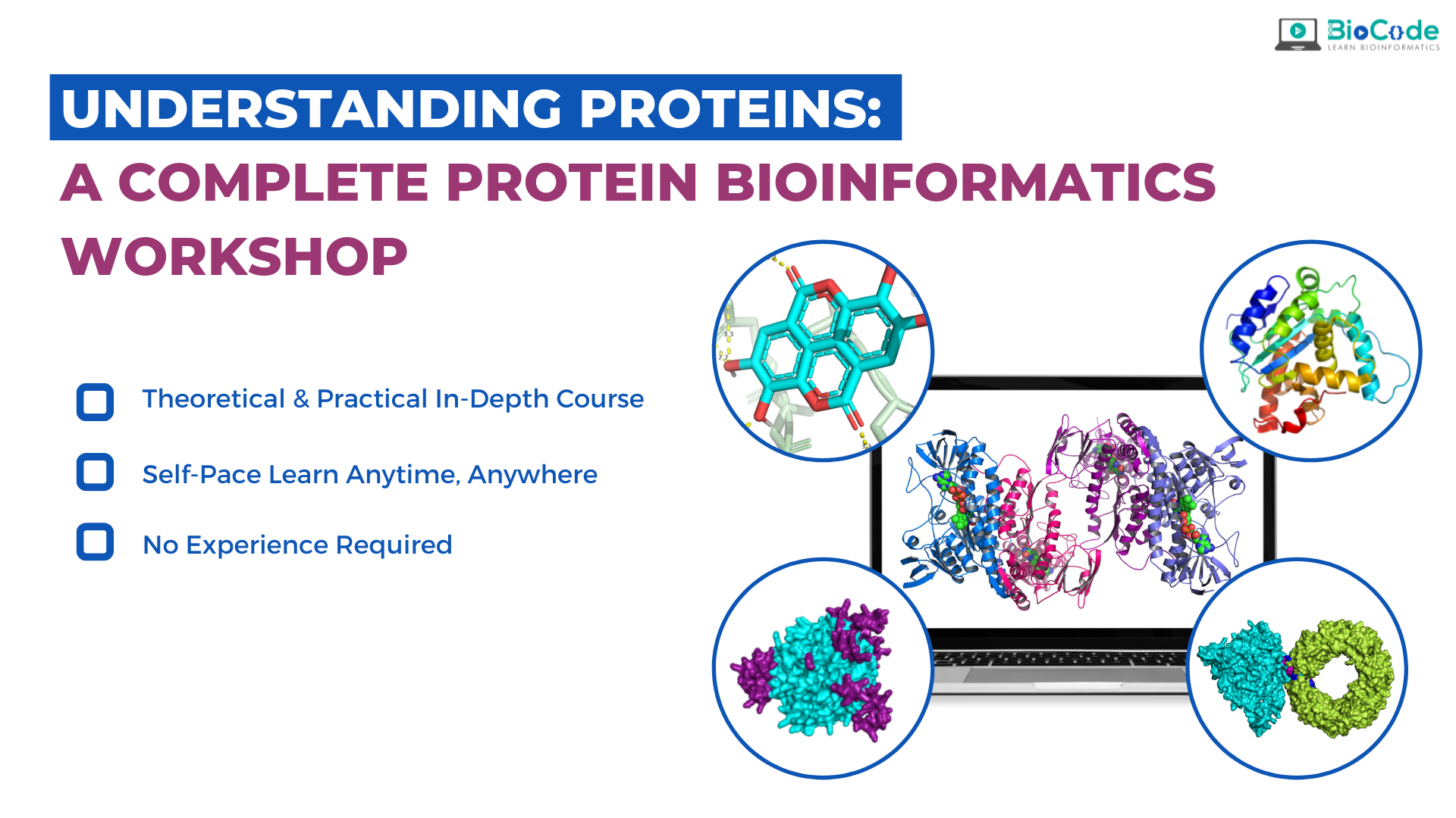 Understanding Proteins: A Complete Protein Bioinformatics Analysis Workshop