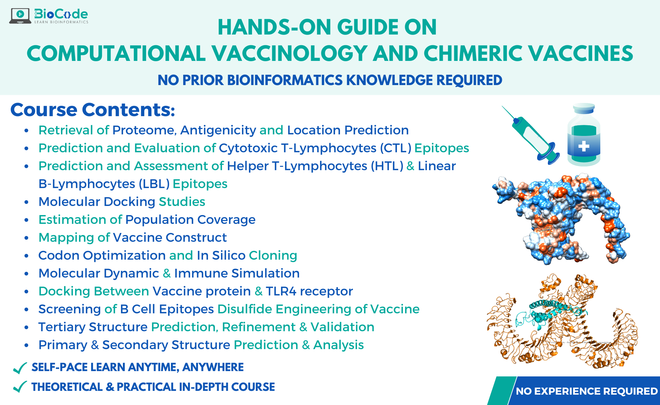 Hands-on Guide on Computational Vaccinology and Chimeric Vaccines-2