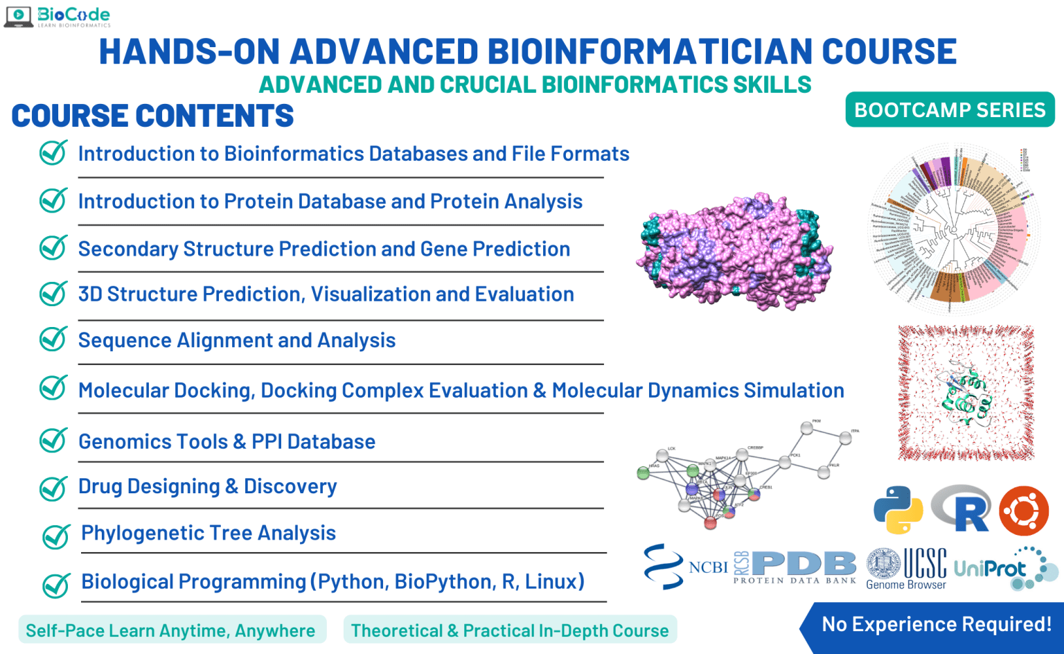 Bootcamp Series Advanced Bioinformatician Course – BioCode Learn. SaaS ...