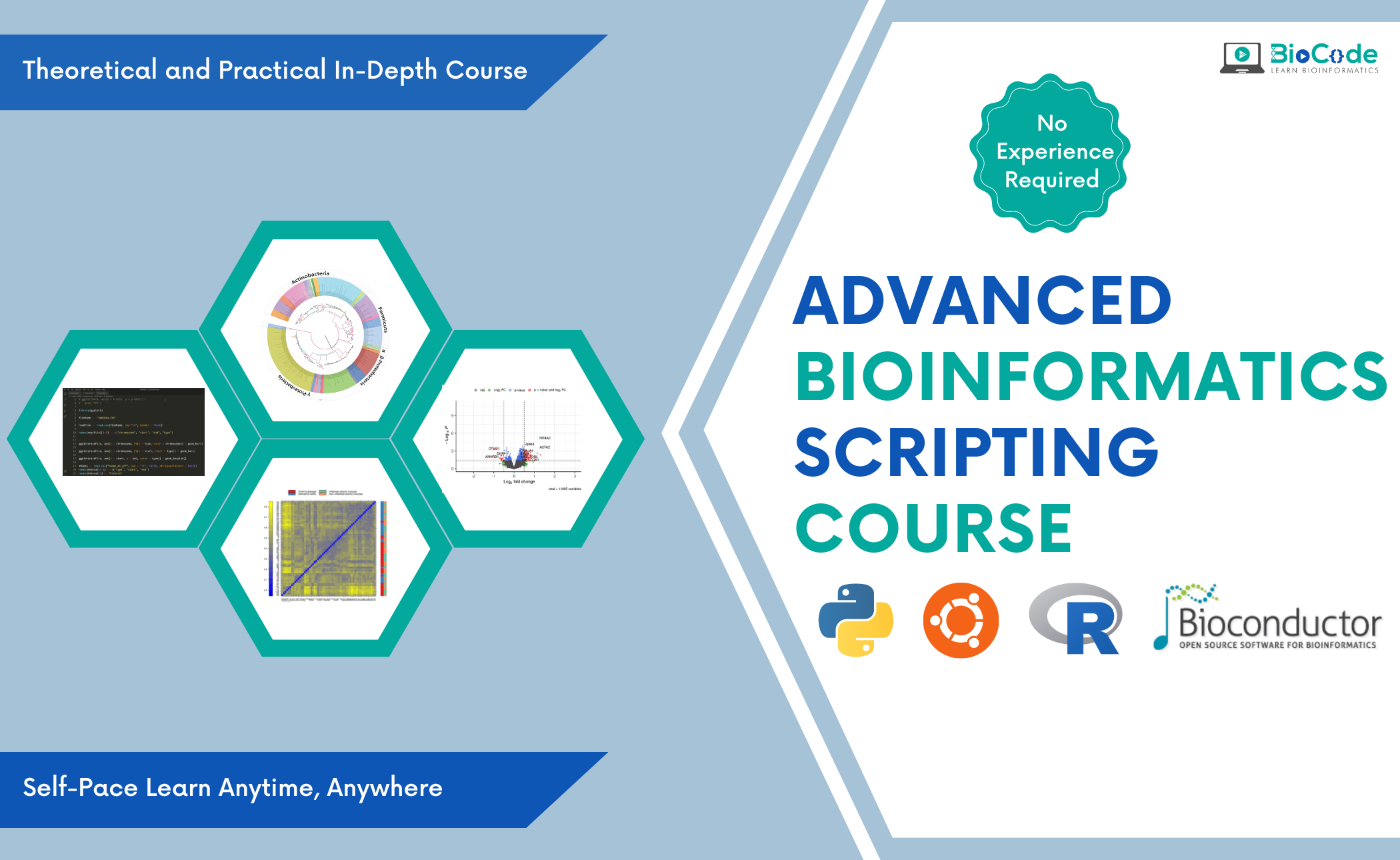 Advanced Bioinformatics Scripting in Python, BioPython, R & BioConductor