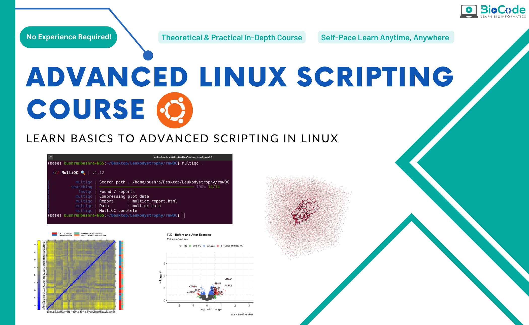 Command-line Series Advanced Linux Scripting For Bioinformatics
