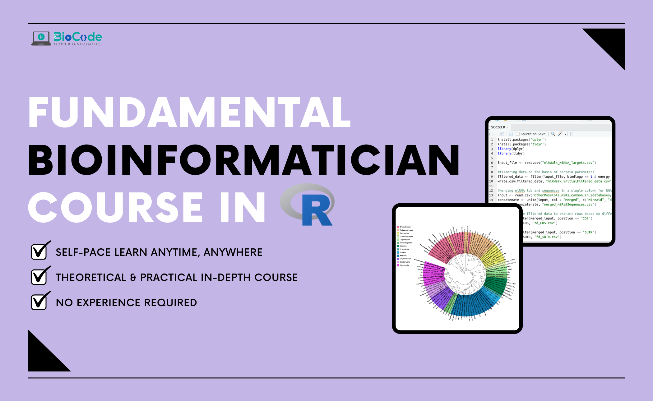 Fundamental Bioinformatician Course in R