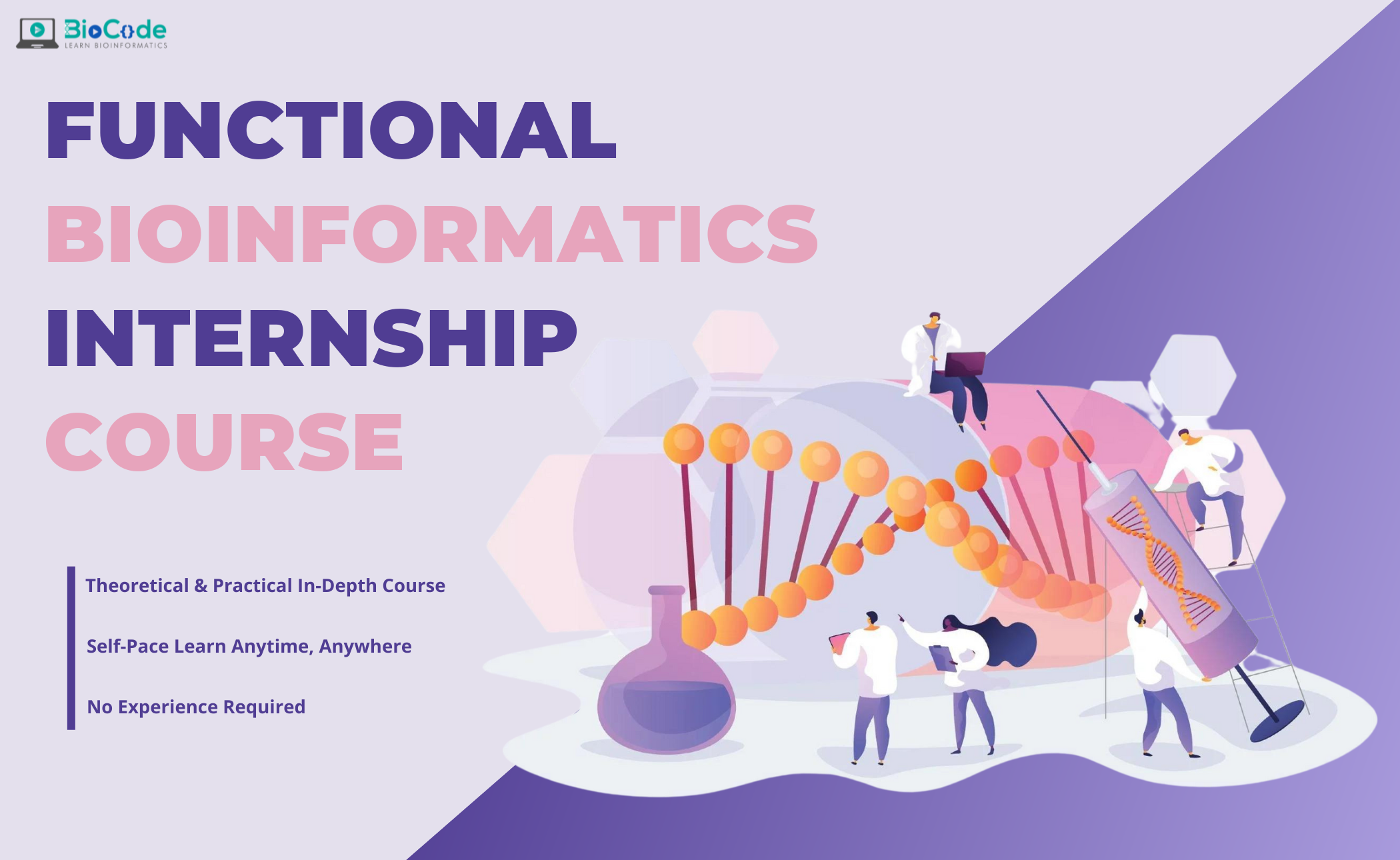 Functional Bioinformatics Internship Course