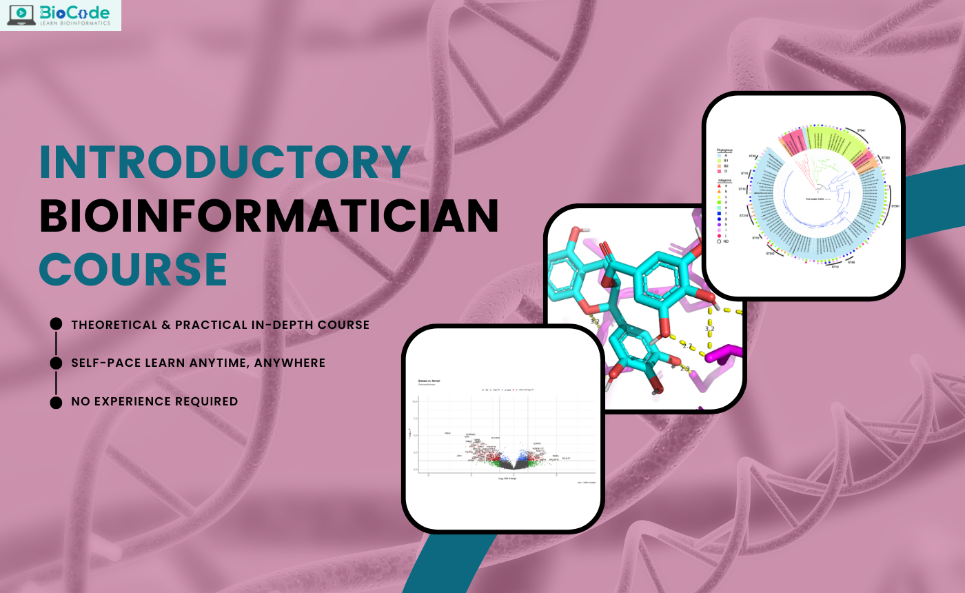 Introductory Bioinformatician Course