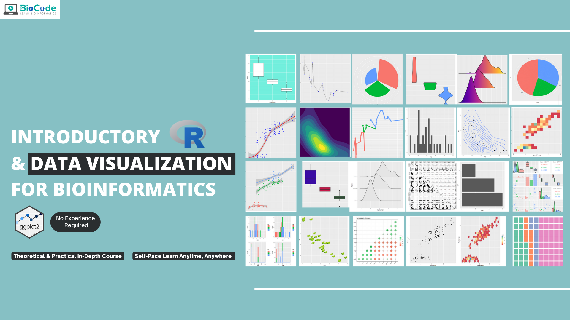 Introductory R and Data Visualization for Bioinformatics