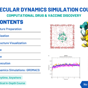 Molecular Dynamics Simulation Course