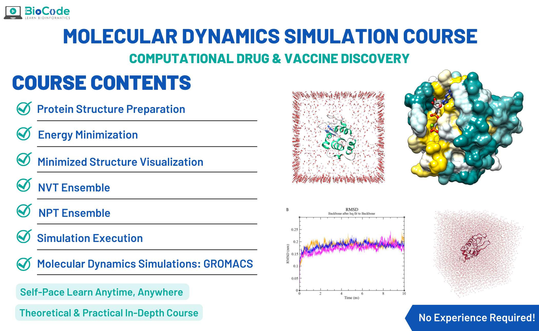 Molecular Dynamics Simulation Course