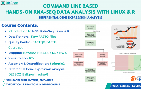 Hands-on RNA-Seq data analysis with linux & R