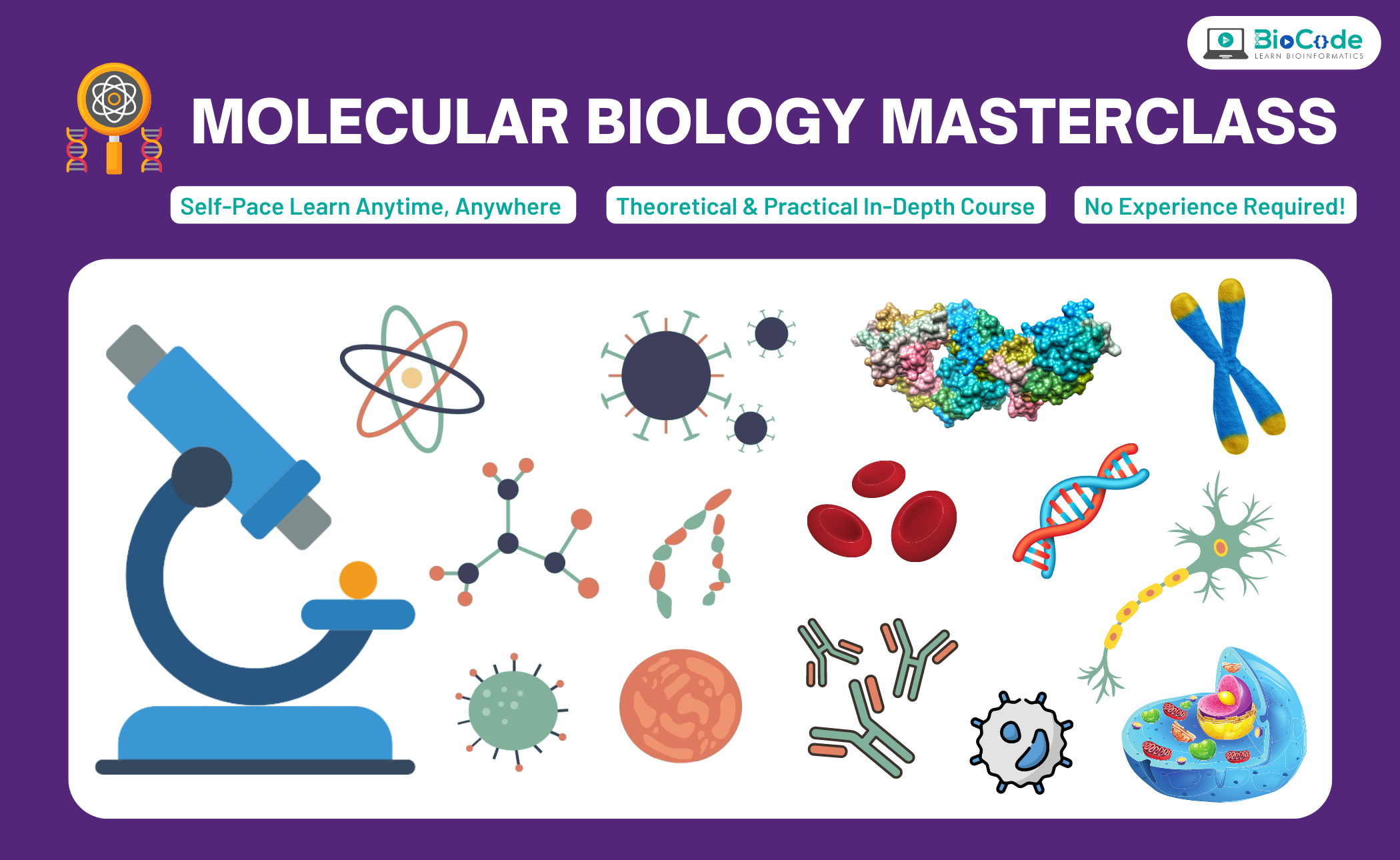 Molecular Biology MasterClass