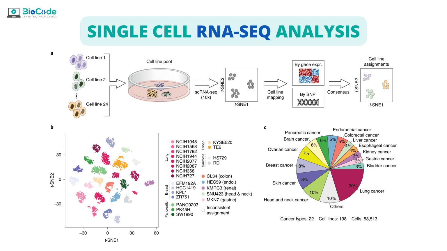 Single Cell RNA-Seq – BioCode