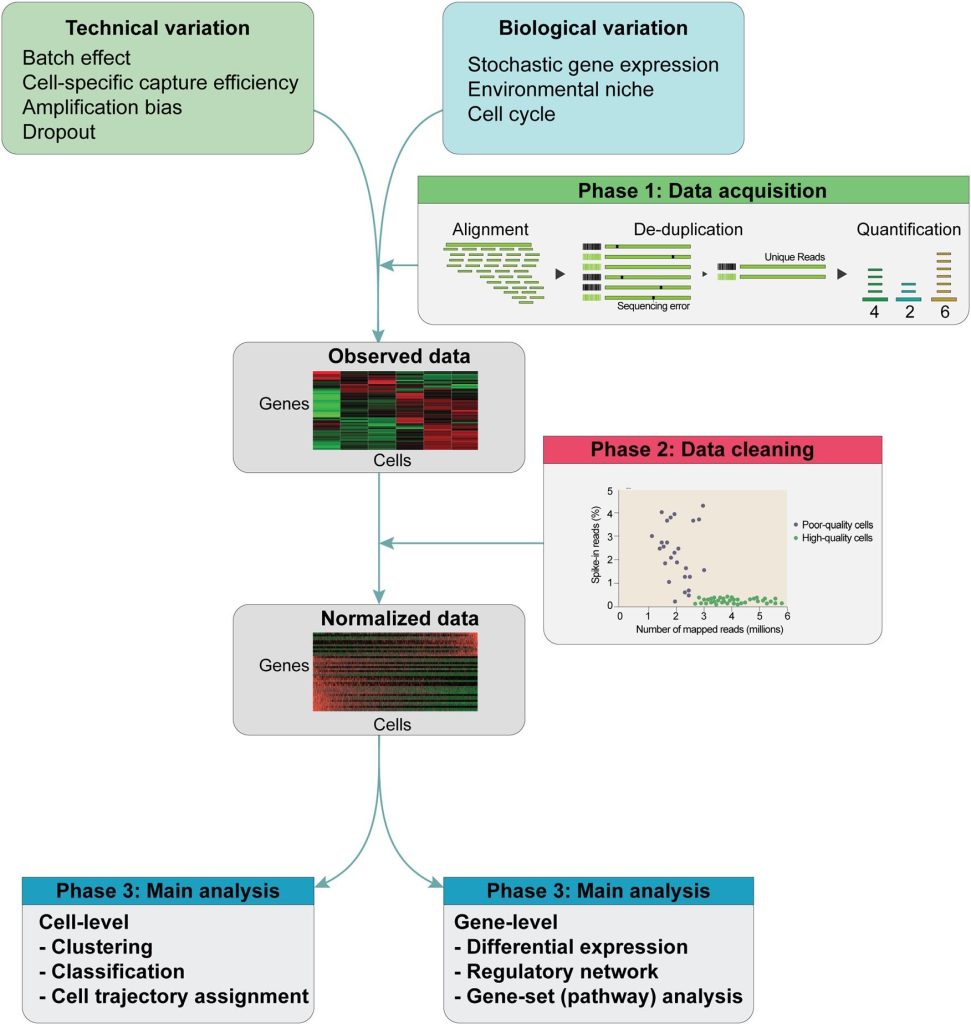 | BioCode | BioCode