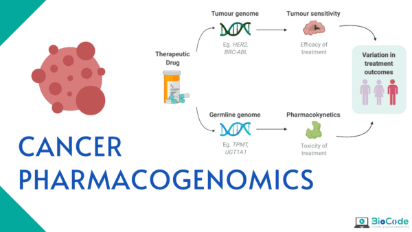 Cancer Pharmacogenomics Biocode