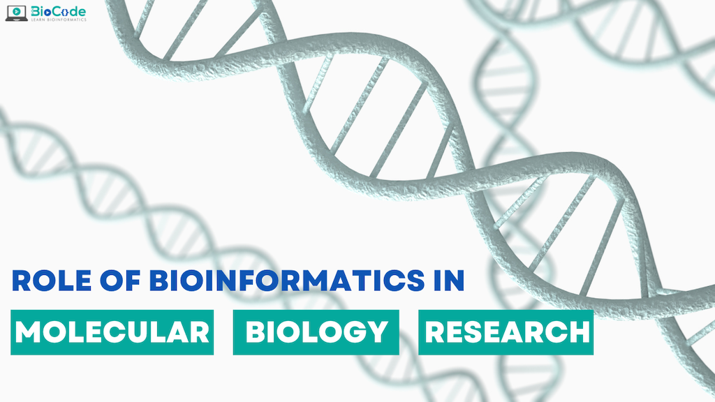 | BioCode