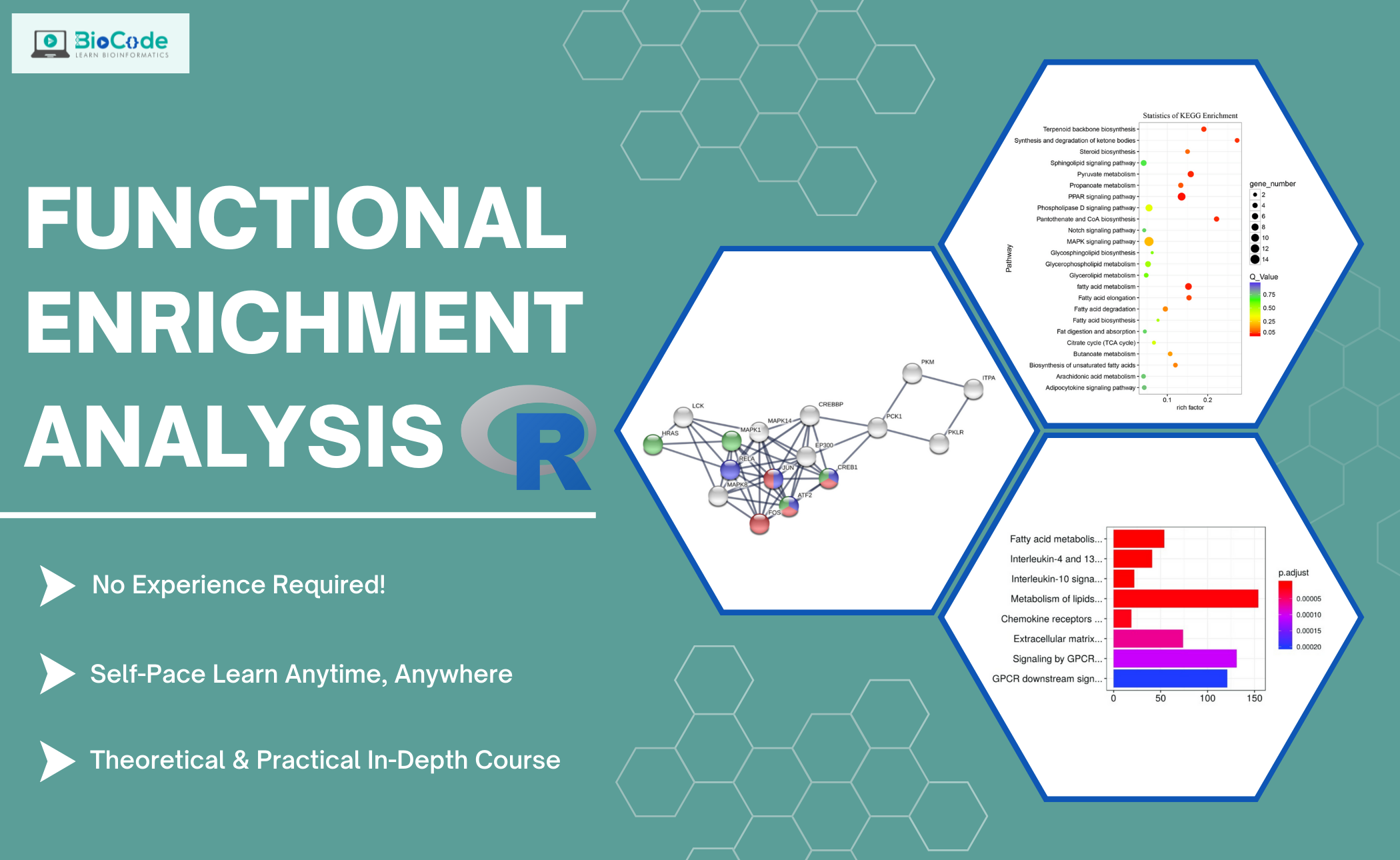 Functional Enrichment Analysis (Gene Ontology, KEGG Pathways Analysis, Protein-Protein Interaction) Using Webservers and R Scripting