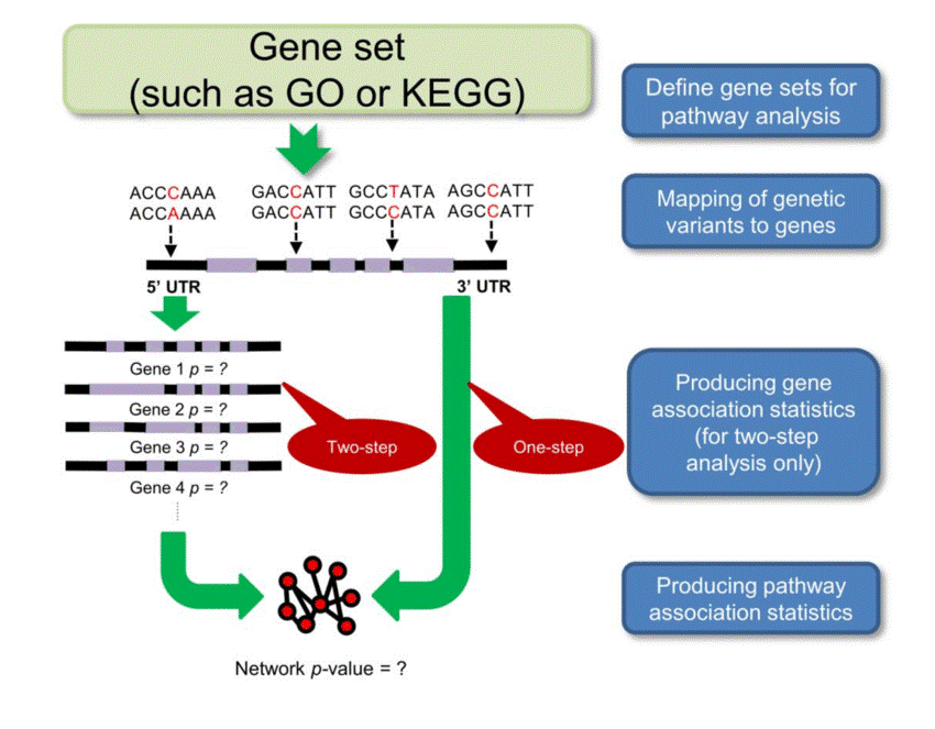 | BioCode | BioCode