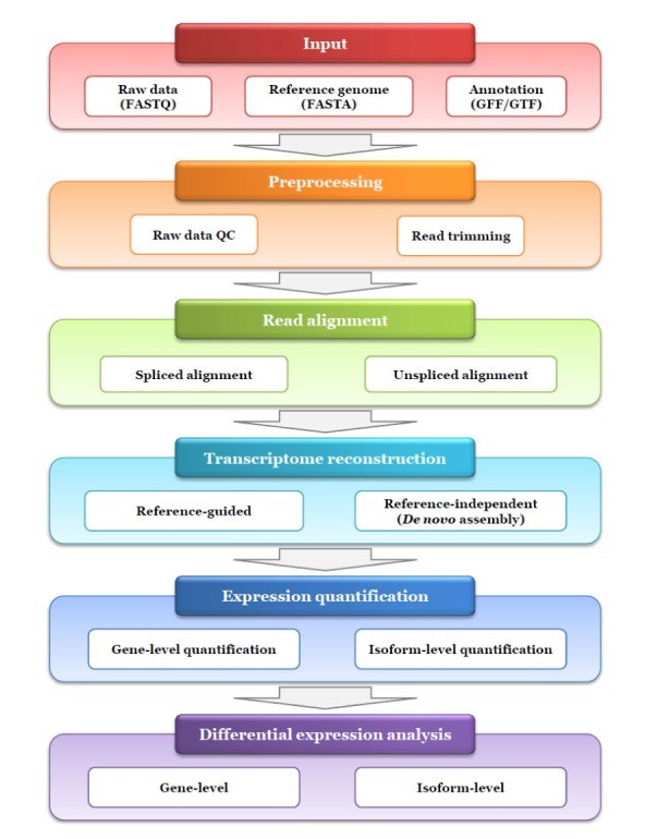 | BioCode | BioCode