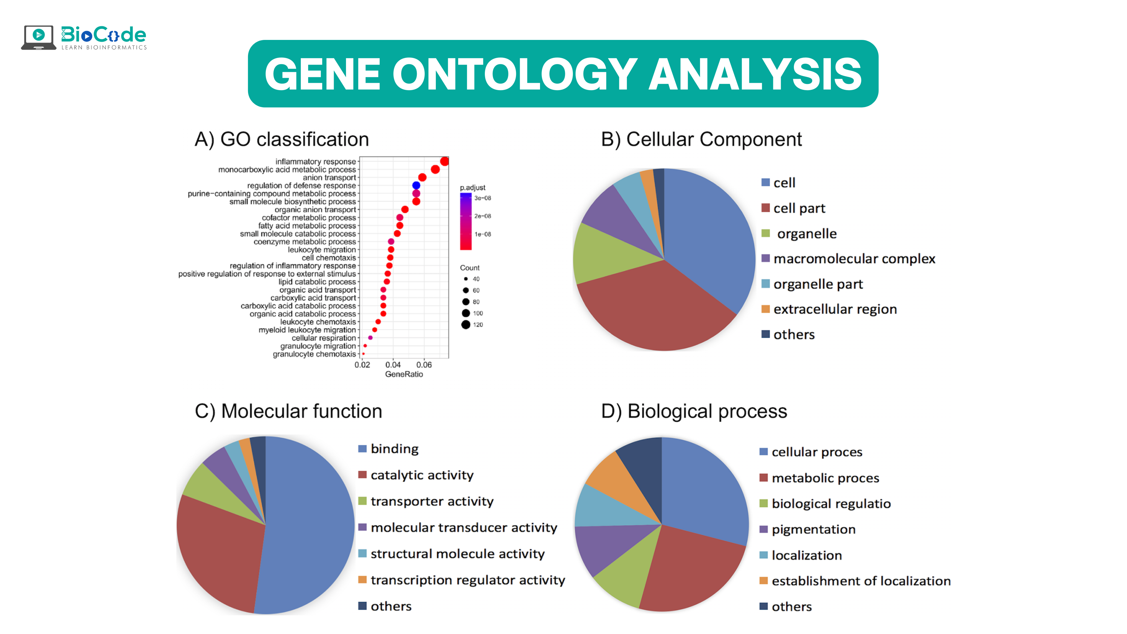 | BioCode