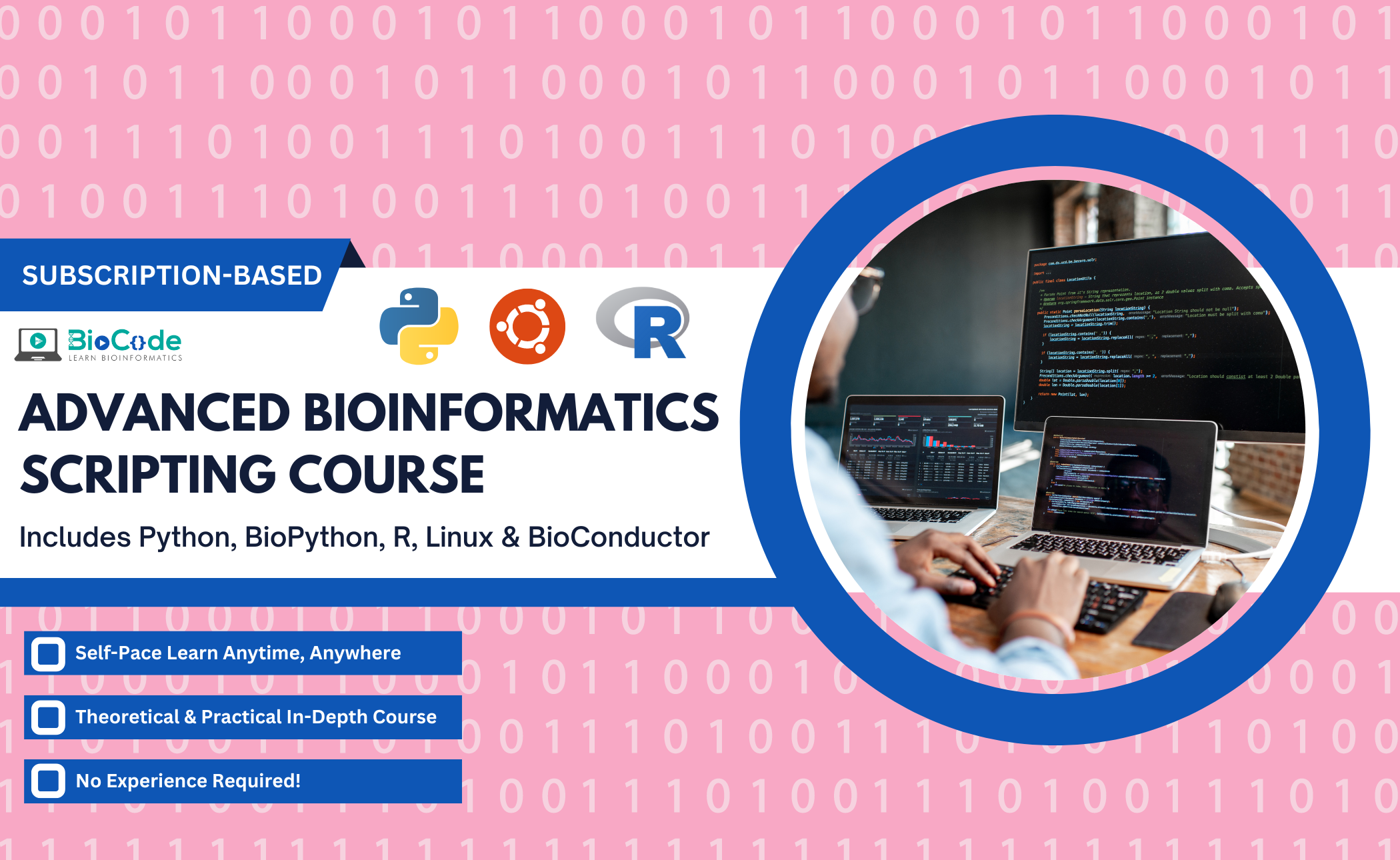 Advanced Bioinformatics Scripting in Python, BioPython, R & BioConductor (Subscription)