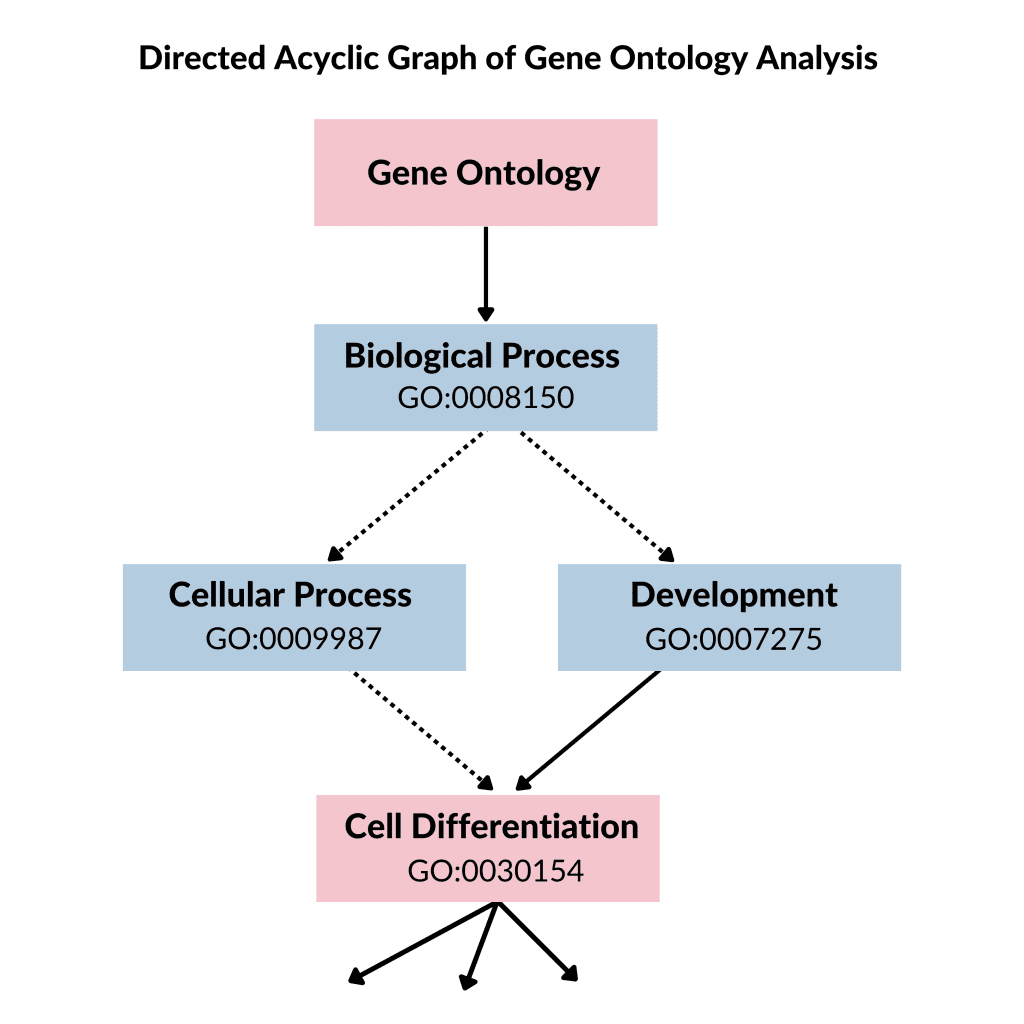 | BioCode | BioCode