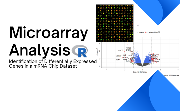 Microarray-thumbnail – BioCode Learn. SaaS. Research