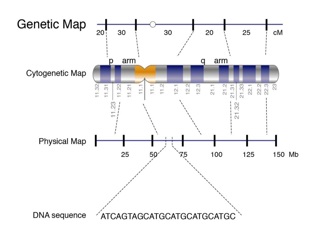 | BioCode | BioCode