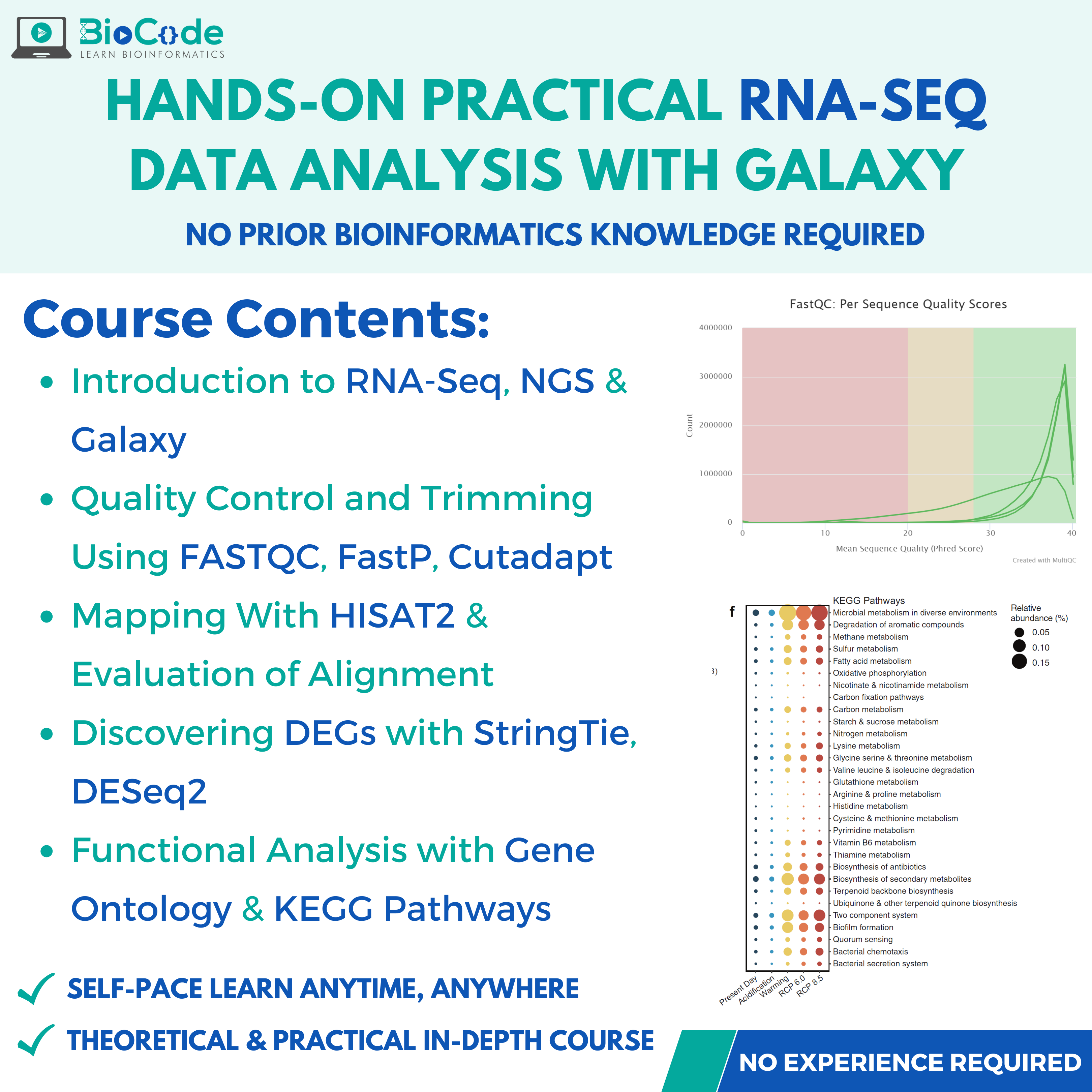 Hands-on Practical RNA-Seq Data Analysis With Galaxy – BioCode Learn ...