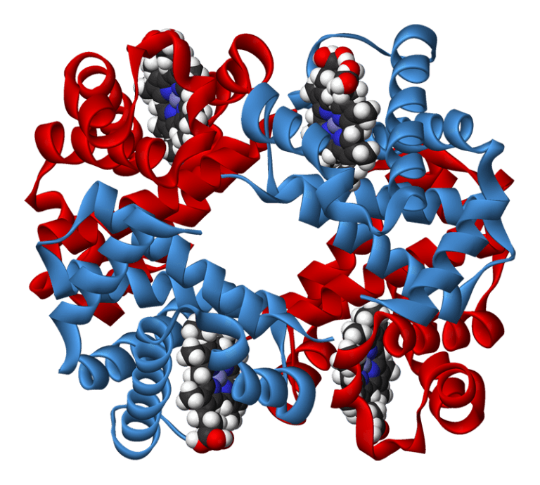 Predicted three-dimensional protein structure for drug target modelling