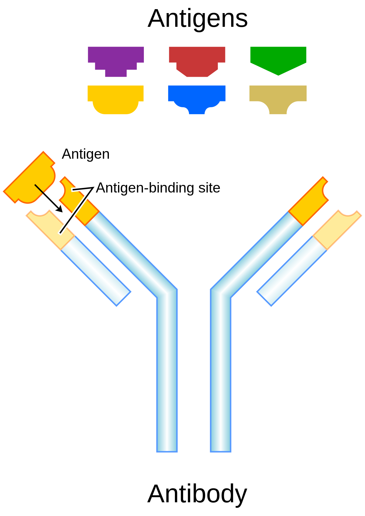 Antibody.svg