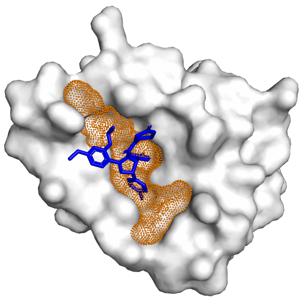 Blind Docking between Protein _ Ligand