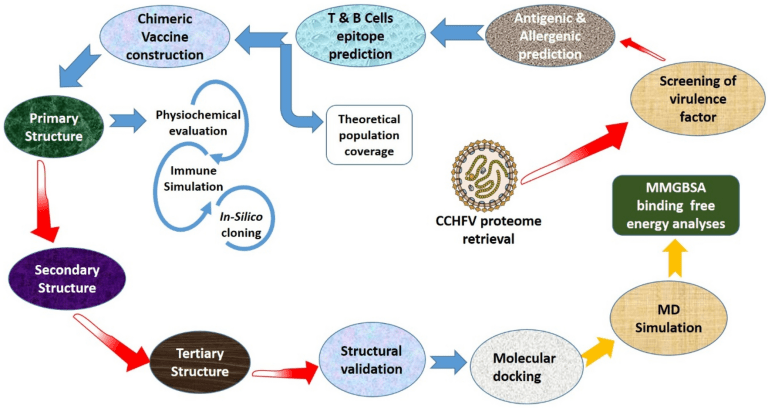 Computational construction of a multi-epitope vaccine candidate