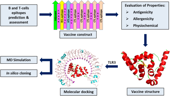 Computational Vaccine Designing