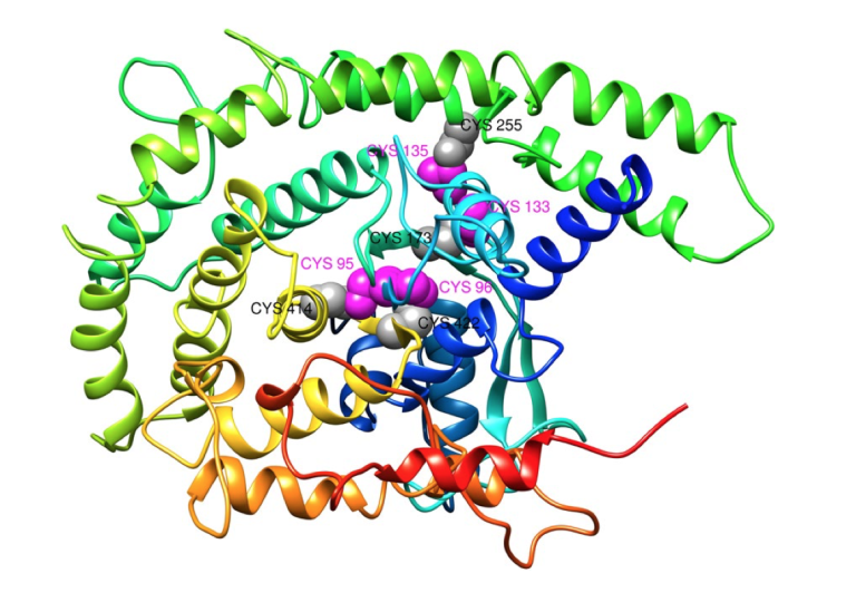 Disulfide engineering applied to improve vaccine construct stability