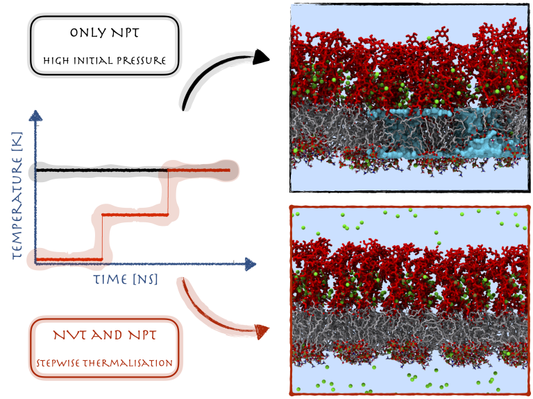 NPT equilibration plot for a protein system prior to production molecular dynamics