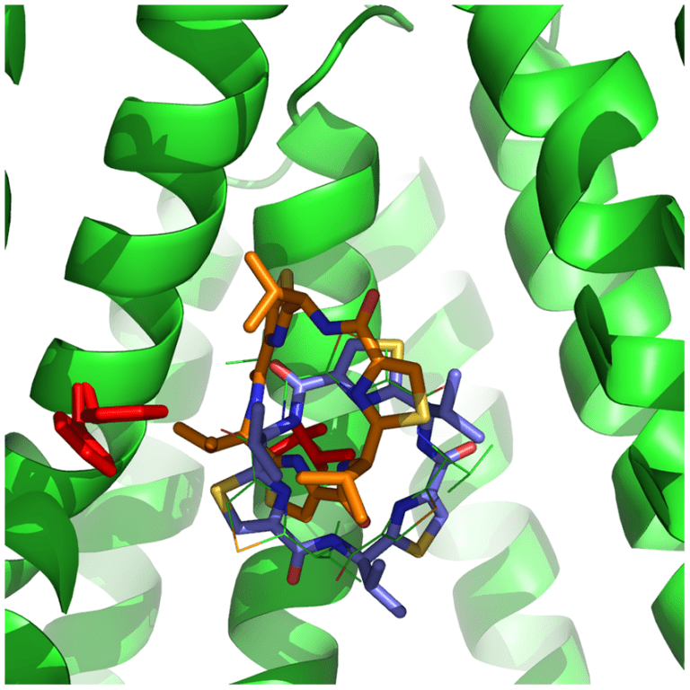 Docking results compared between flexible and rigid receptor treatments