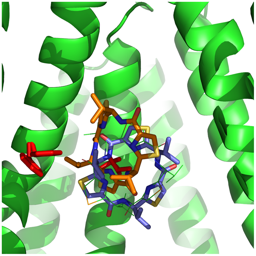 Flexible-and-rigid-docking-results-for-QZ59-RRR-Flexible-receptor-docking-orange