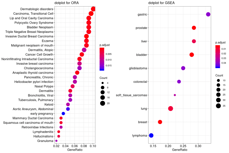 Functional enrichment analysis results for differentially expressed genes