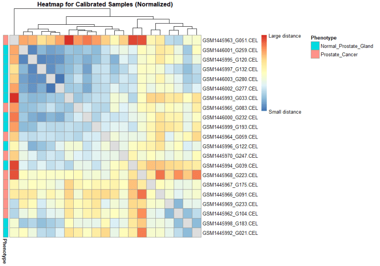 Heatmap of differentially expressed genes across RNA-Seq samples