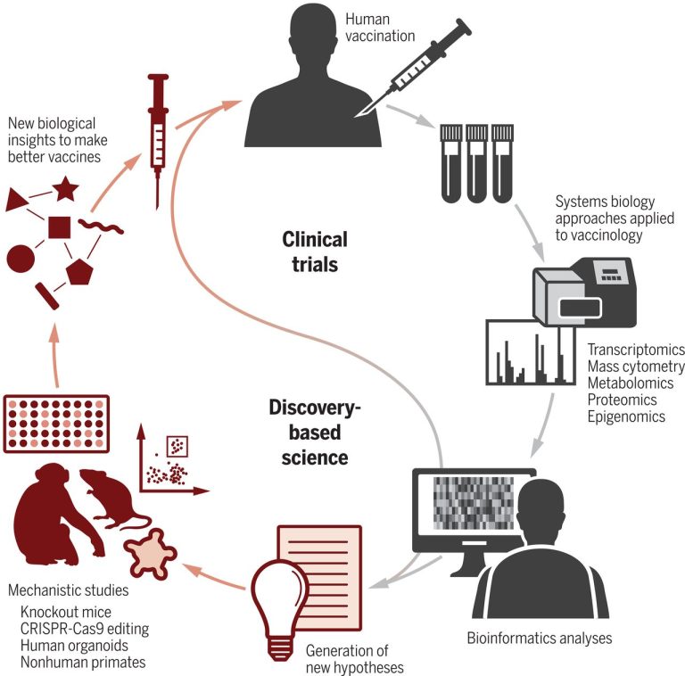 Immunobioinformatics analysis for vaccine target selection