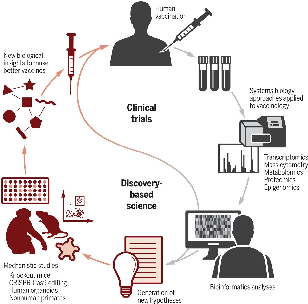 Immunobioinformatics