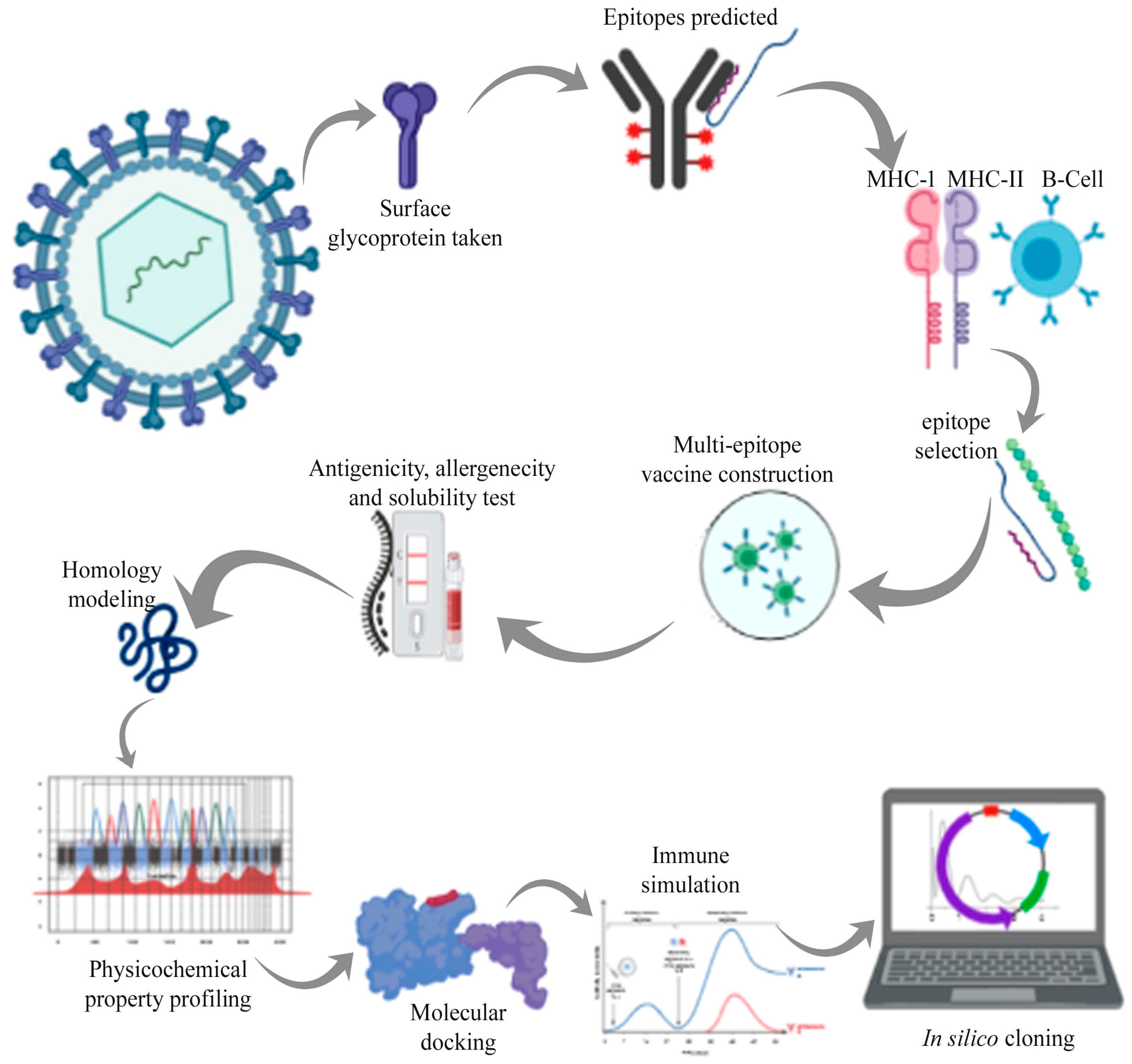 Immunoinformatics