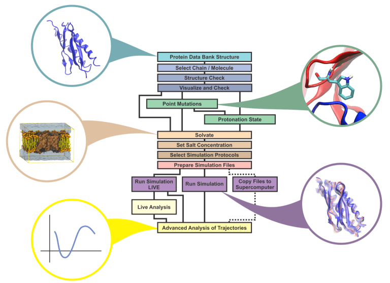 Molecular dynamics workflow from Protein Data Bank structure through solvation and simulation to trajectory analysis