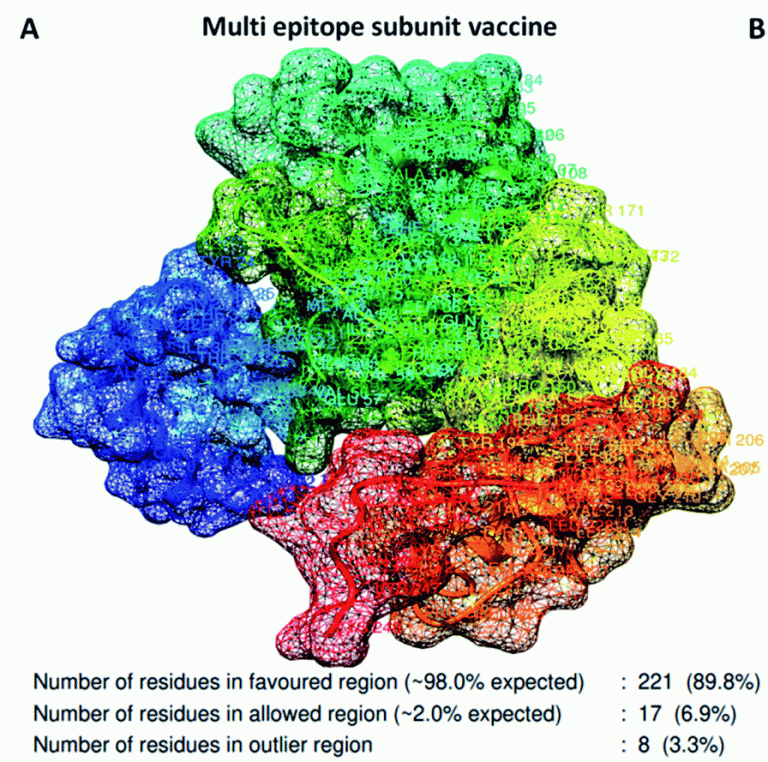 Annotated map of a designed multi-epitope vaccine construct