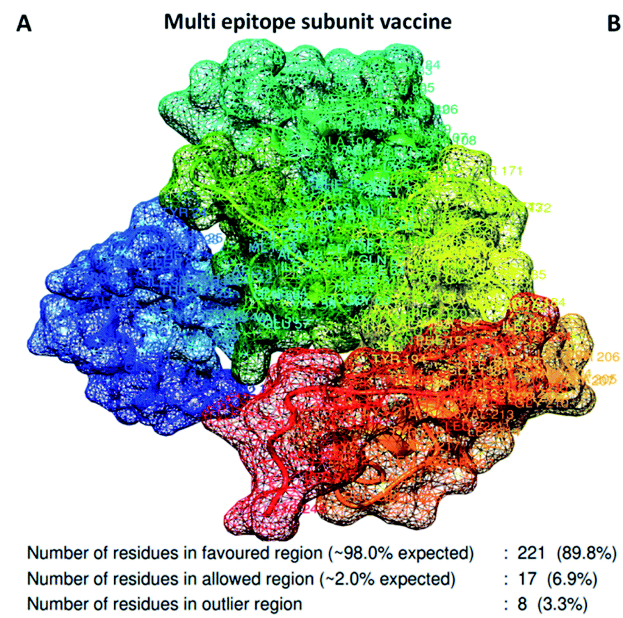 Map Vaccine Construct