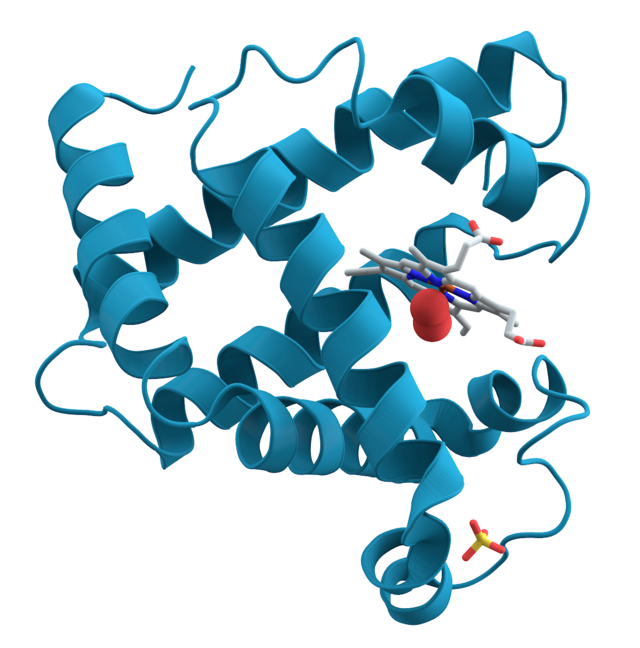 Molecular Docking (Ribbon Representation)