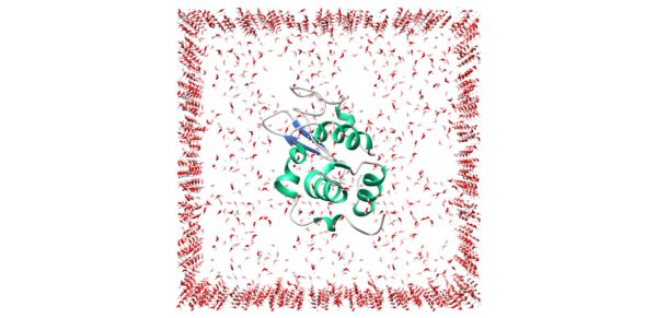 Molecular Dynamic Simulation – BioCode Learn. SaaS. Research