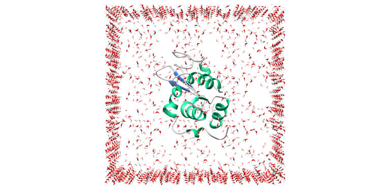 Molecular dynamics simulation used to validate a docked protein-ligand complex