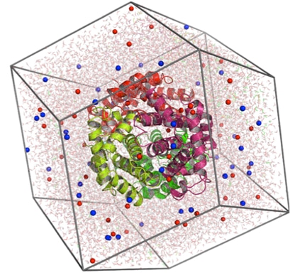 Molecular-Dynamics-Simulation-Service-2