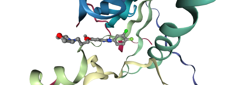 Protein-ligand complex showing the bound pose in the active site