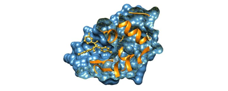 Protein-ligand docking result showing the predicted binding pose