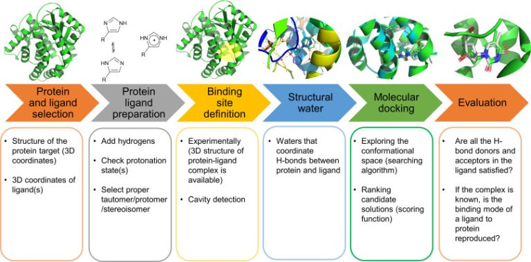 Protein-ligand docking with a small molecule positioned in the binding site